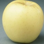 Ozarkgol apple