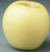 Ozarkgol apple