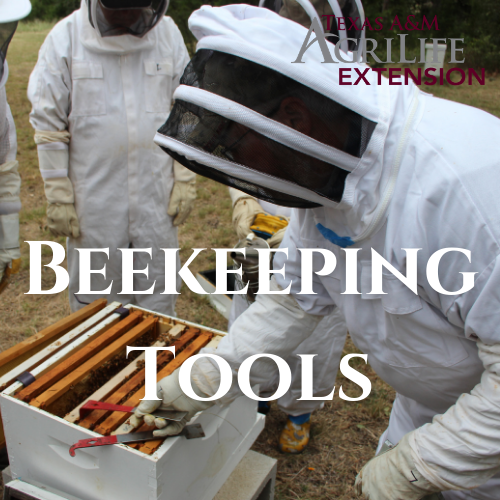 Beekeeping 101 Online Course | Urban Program Bexar County